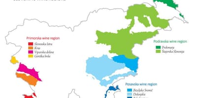 Žemėlapis Slovėnija vyno